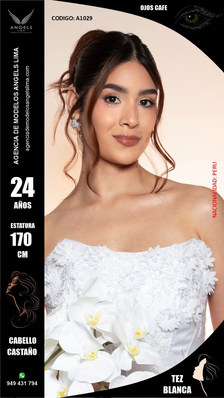 Imagen de A1029