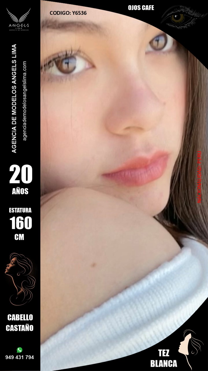 Imagen de Y6536