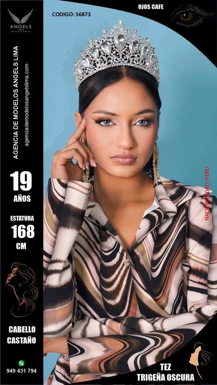 Imagen de S6873